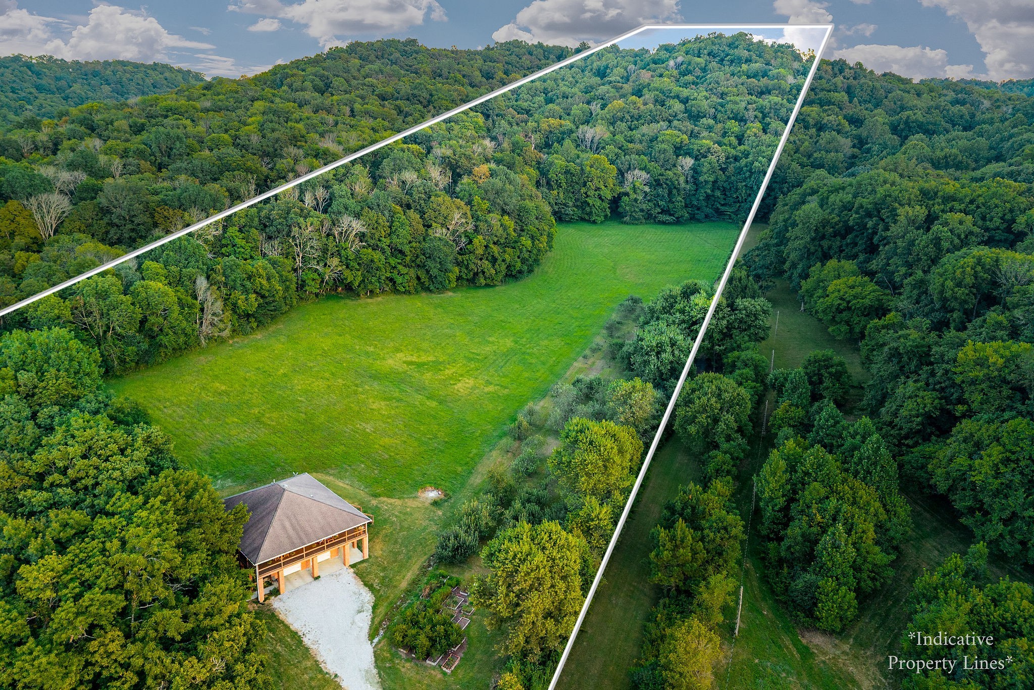 a view of a yard with potted plants