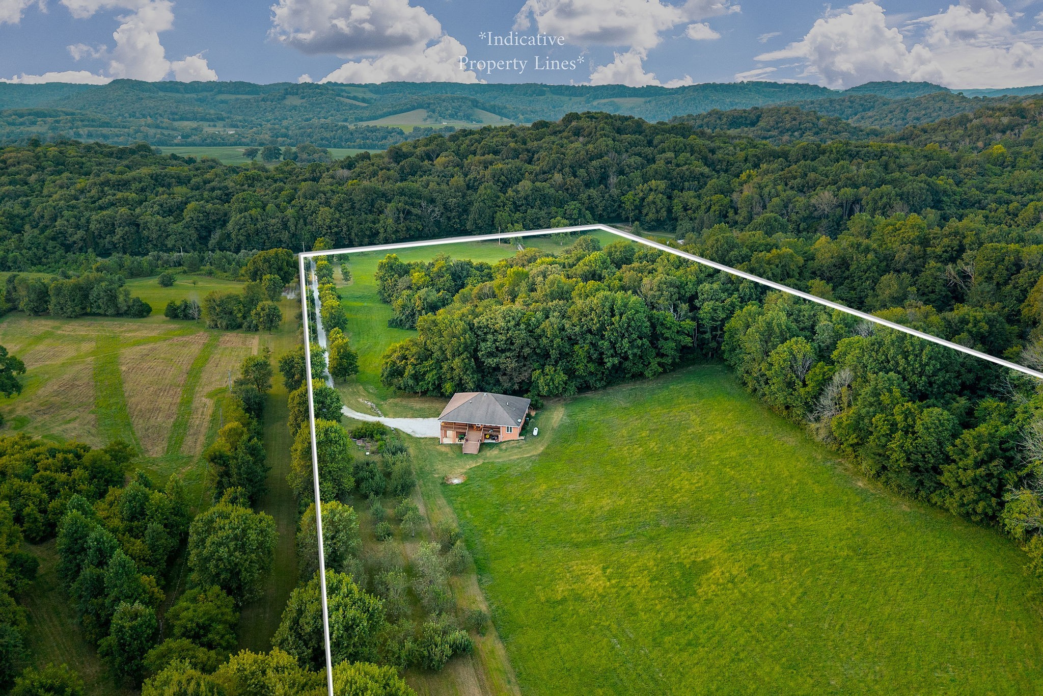 574 Hayes Ridge Road Lancaster, TN 38569 - Photo 41 of 48 a view of a yard with a tree