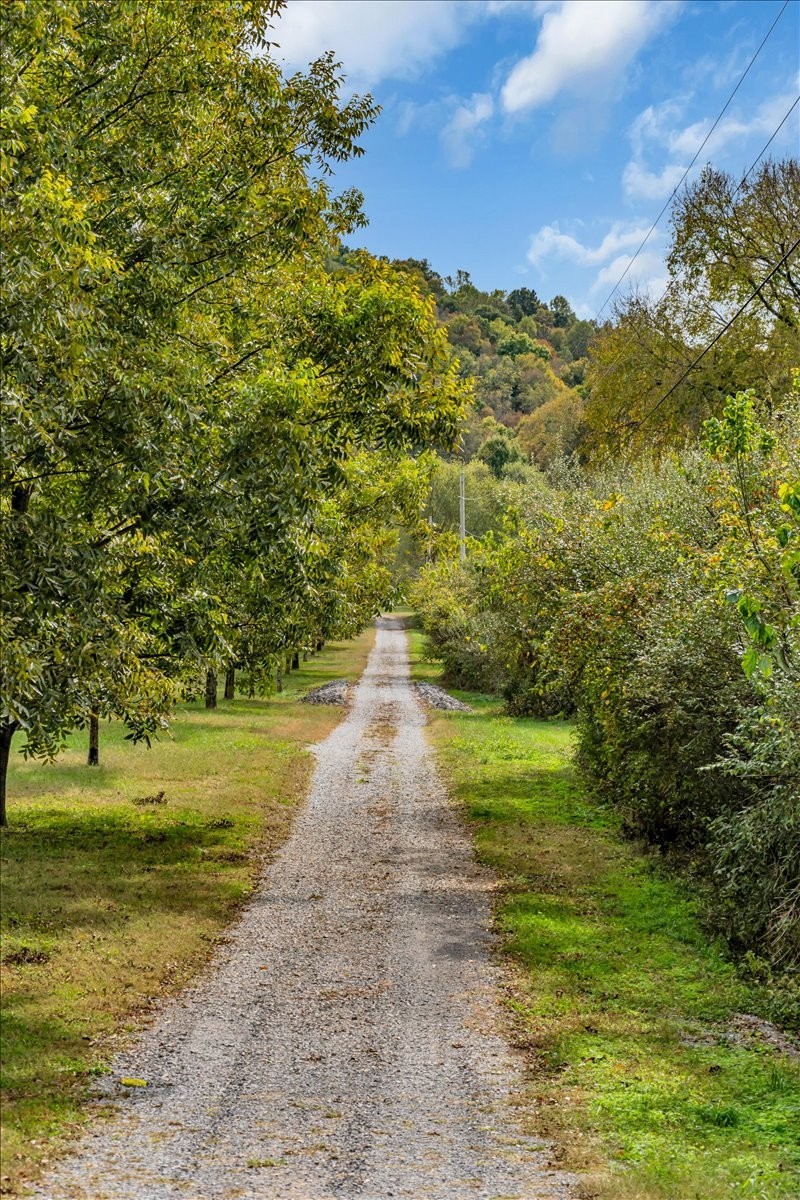 574 Hayes Ridge Road Lancaster, TN 38569 - Photo 45 of 48 a view of a yard with an outdoor space