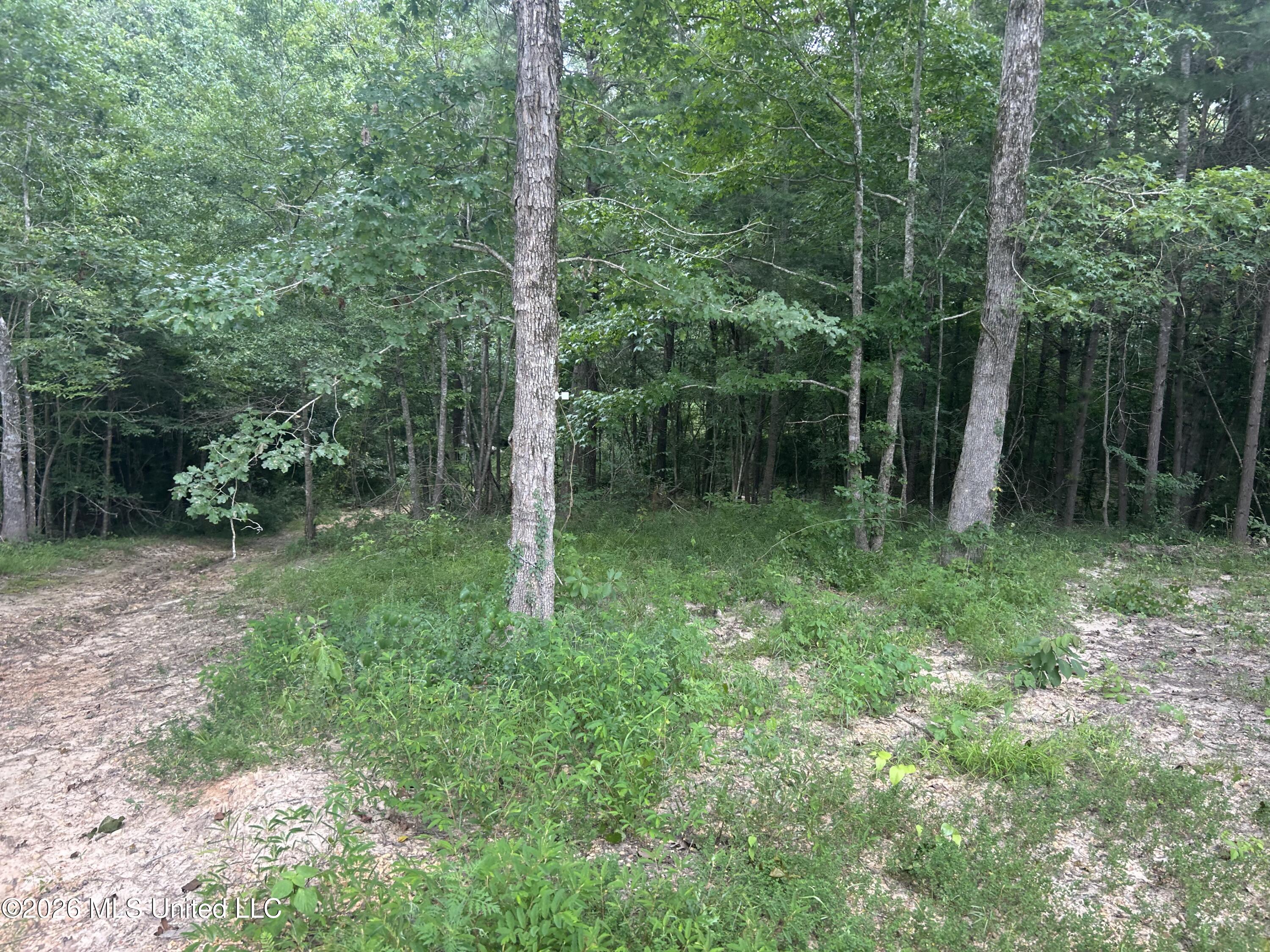 2543 Warren Road Southeast Brookhaven, MS 39601 - Photo 45 of 49 IMG_6178