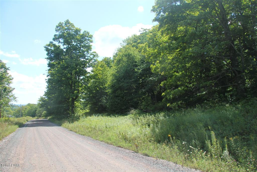 Skinner Road Honesdale, PA 18431 - Photo 8 of 10