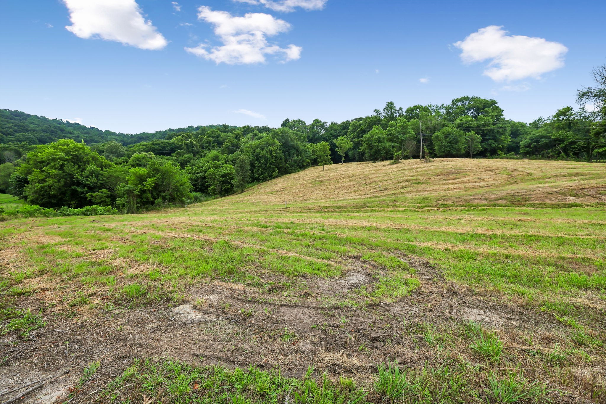 0 Hix Road Gordonsville, TN 38563 - Photo 10 of 37