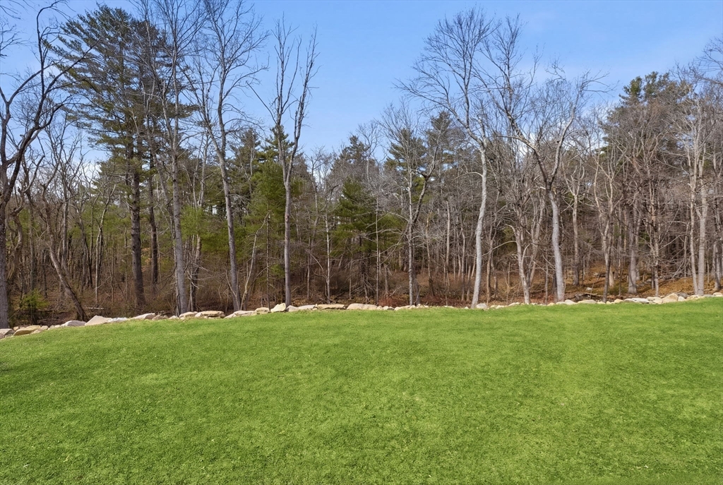 41 Myrtle Street Norfolk, MA 02056 - Photo 40 of 42 a backyard of apartments with large trees