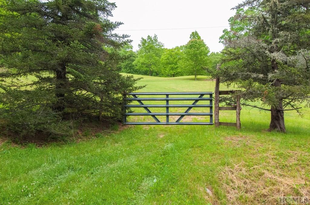 Tbd Bee Tree Road Glenville, NC 28736 - Photo 2 of 26 Gallery Image 2