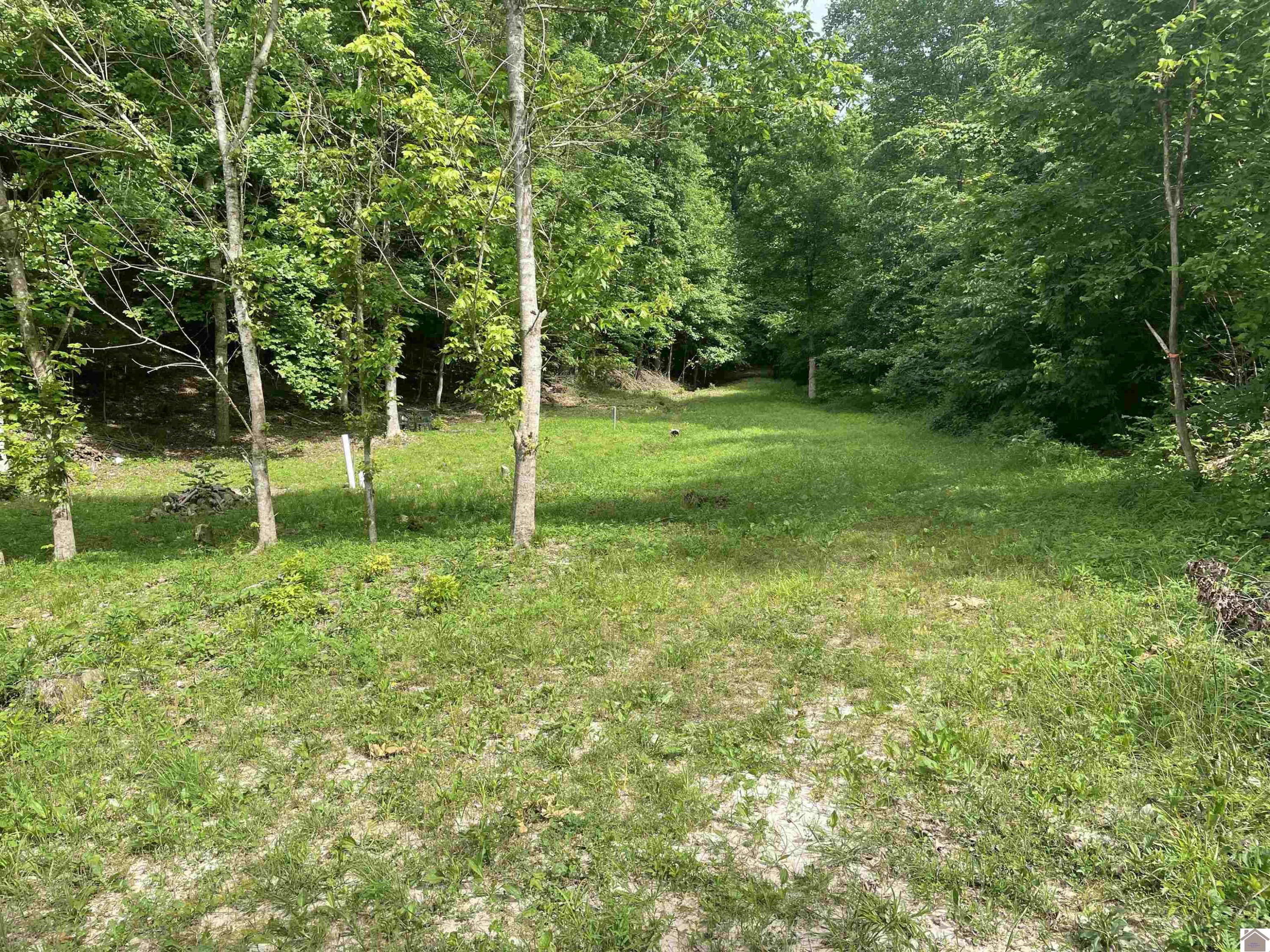 3642 Linton Road Cadiz, KY 42211 - Photo 2 of 18 Photo 2