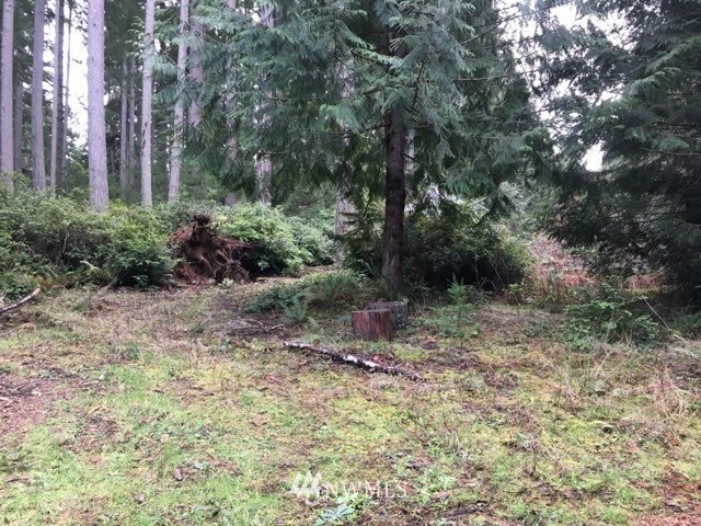 12914 Lovass Road Anderson Island, WA 98303 - Photo 1 of 5 Gallery Image 1