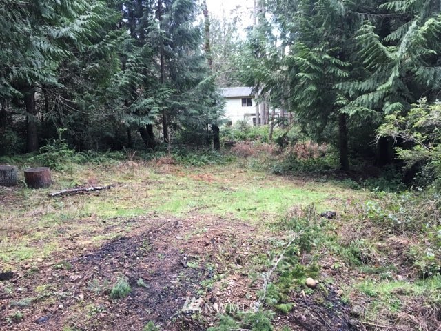 12914 Lovass Road Anderson Island, WA 98303 - Photo 2 of 5 Gallery Image 2