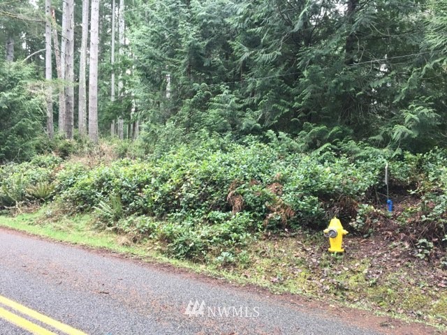 12914 Lovass Road Anderson Island, WA 98303 - Photo 3 of 5 Gallery Image 3