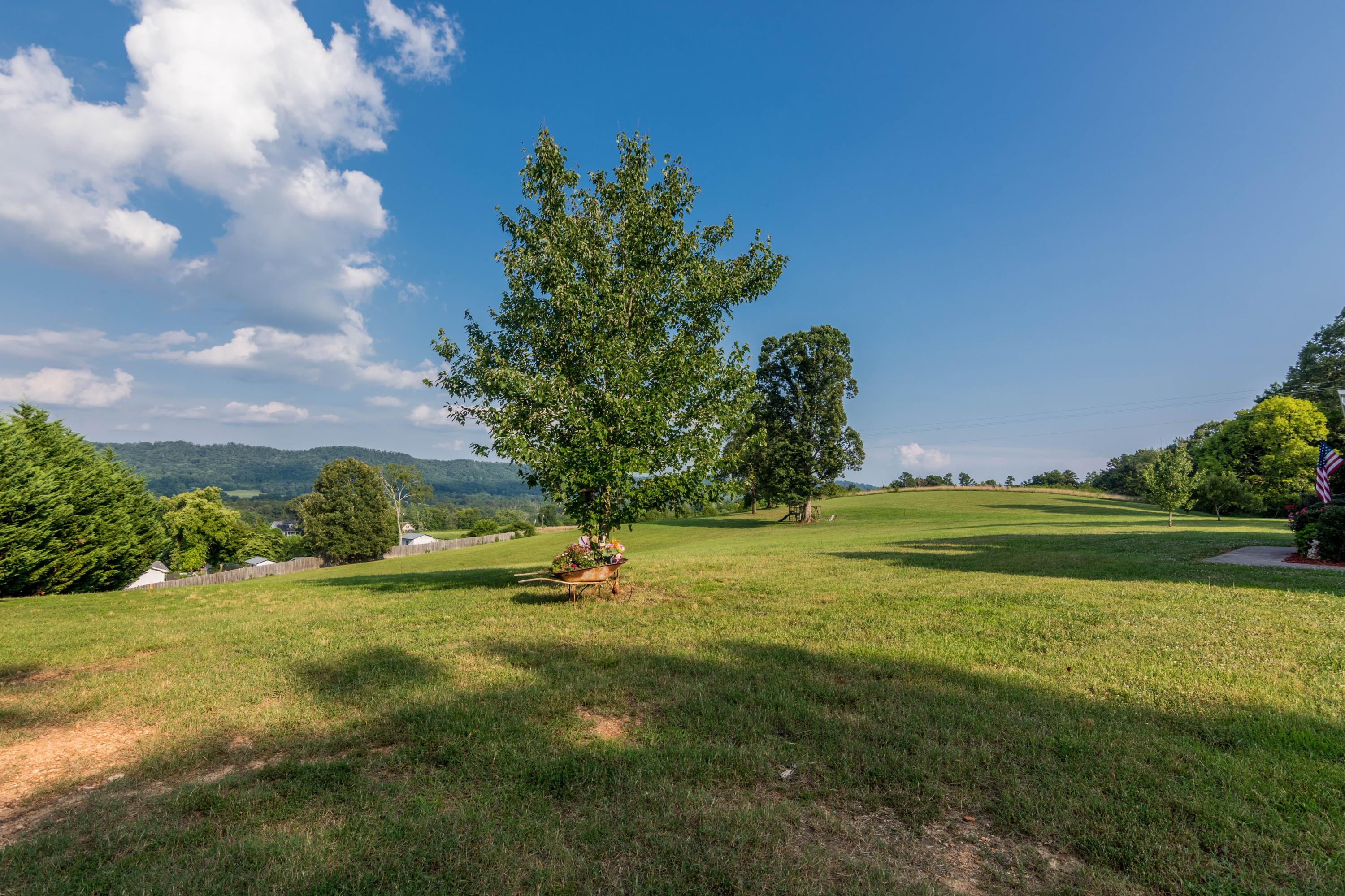 2137 Saunders Road Ringgold, GA 30736 - Photo 7 of 75 2137 Saunders rd-3