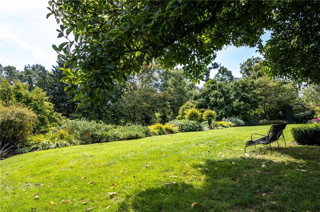 257 Scaife Road Sewickley, PA 15143 - Photo 36 of 50 a view of a big yard with large trees
