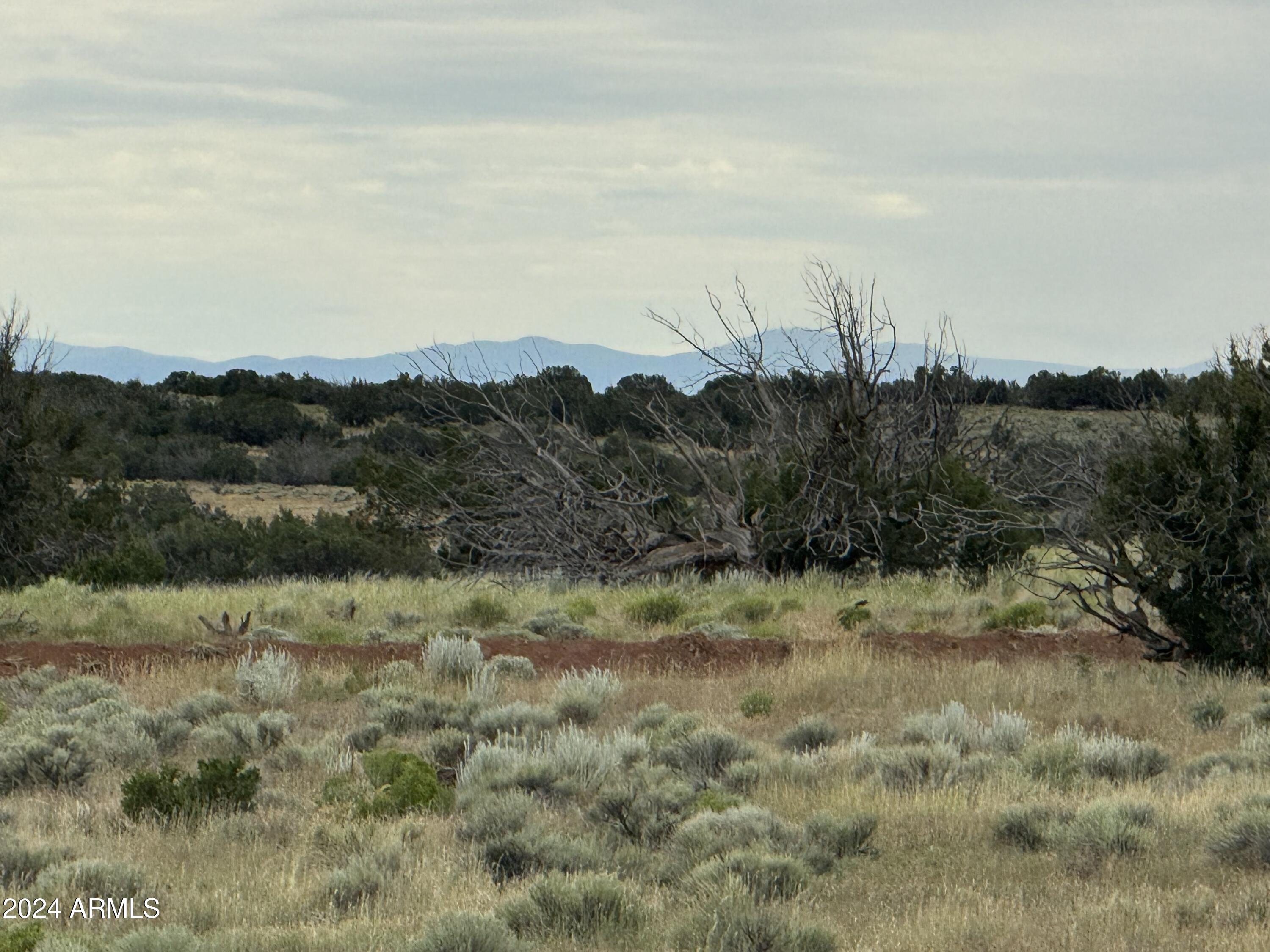 217 Sierra Highlands Ranch, Unit 217 St. Johns, AZ 85936 - Photo 11 of 14 a view of a dry yard with green space