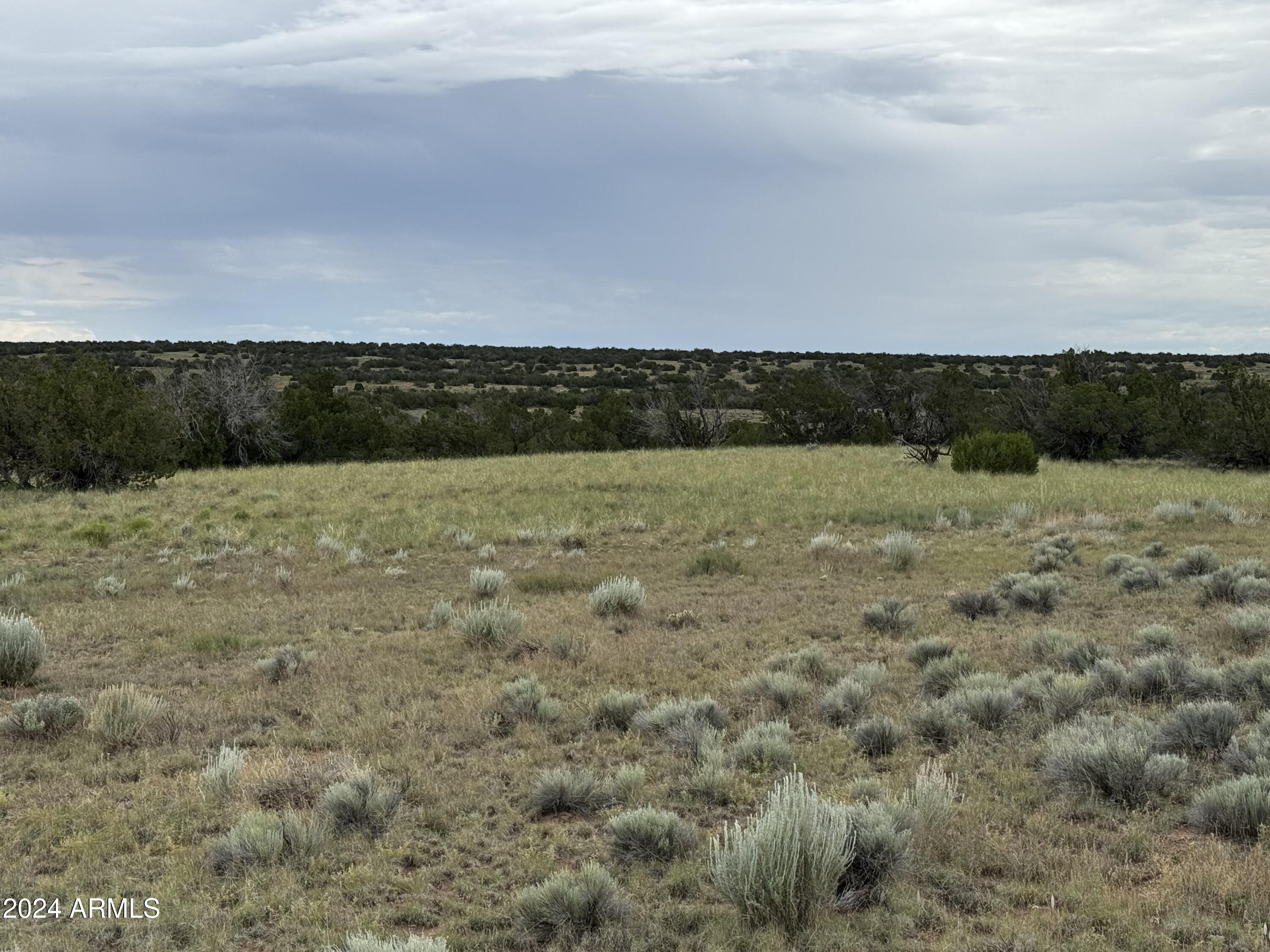 217 Sierra Highlands Ranch, Unit 217 St. Johns, AZ 85936 - Photo 6 of 14 a view of a field with beach