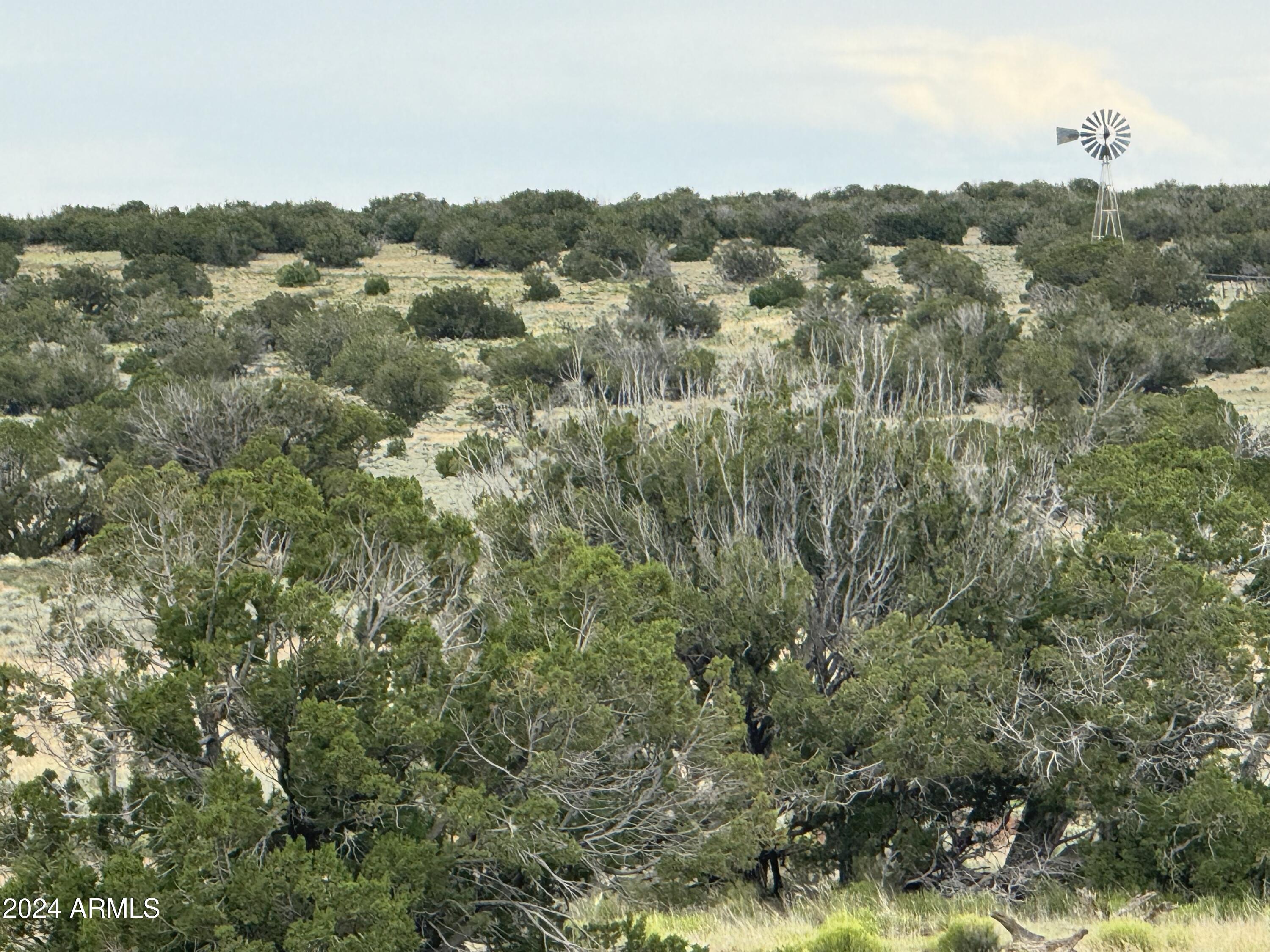 217 Sierra Highlands Ranch, Unit 217 St. Johns, AZ 85936 - Photo 8 of 14 a view of a city with lush green forest