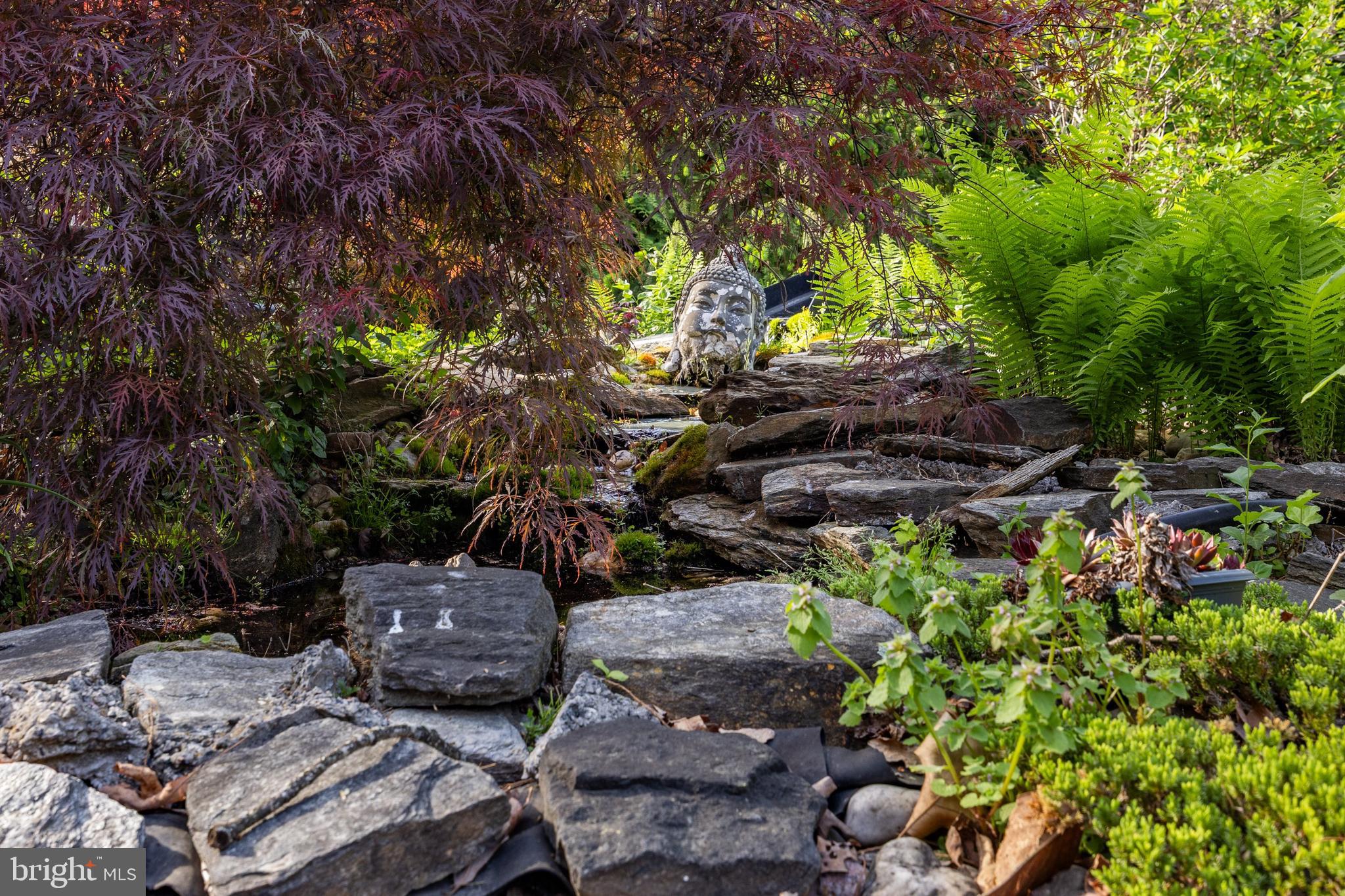 4 Meadowbrook Drive Shamong, NJ 08088 - Photo 44 of 56 Garden