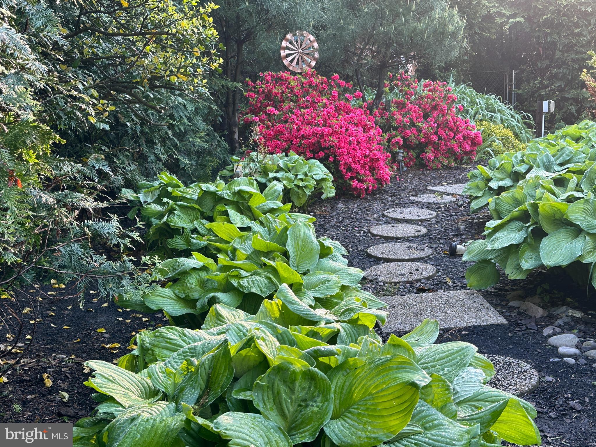 4 Meadowbrook Drive Shamong, NJ 08088 - Photo 45 of 56 Garden