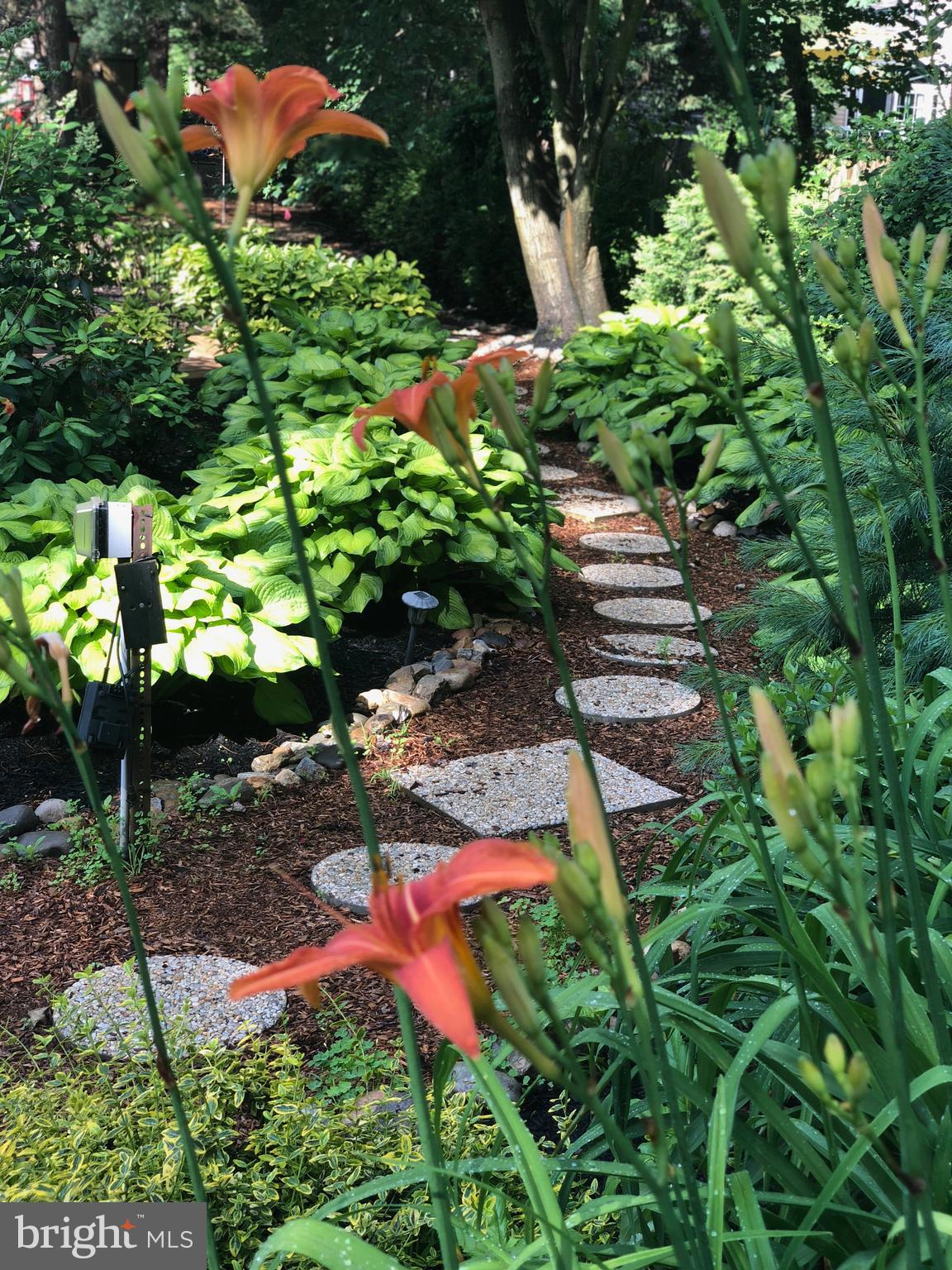 4 Meadowbrook Drive Shamong, NJ 08088 - Photo 47 of 56 Garden