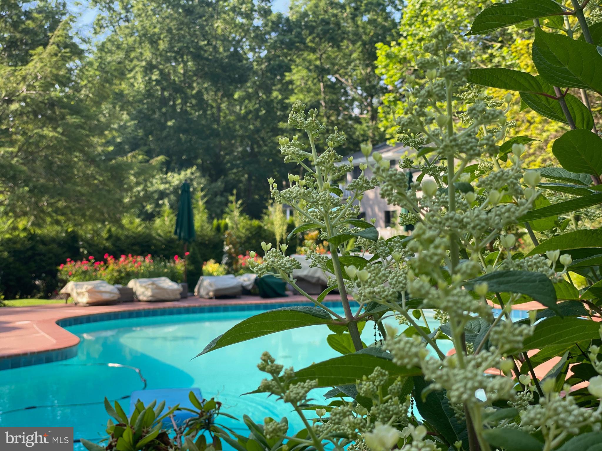 4 Meadowbrook Drive Shamong, NJ 08088 - Photo 48 of 56 Garden