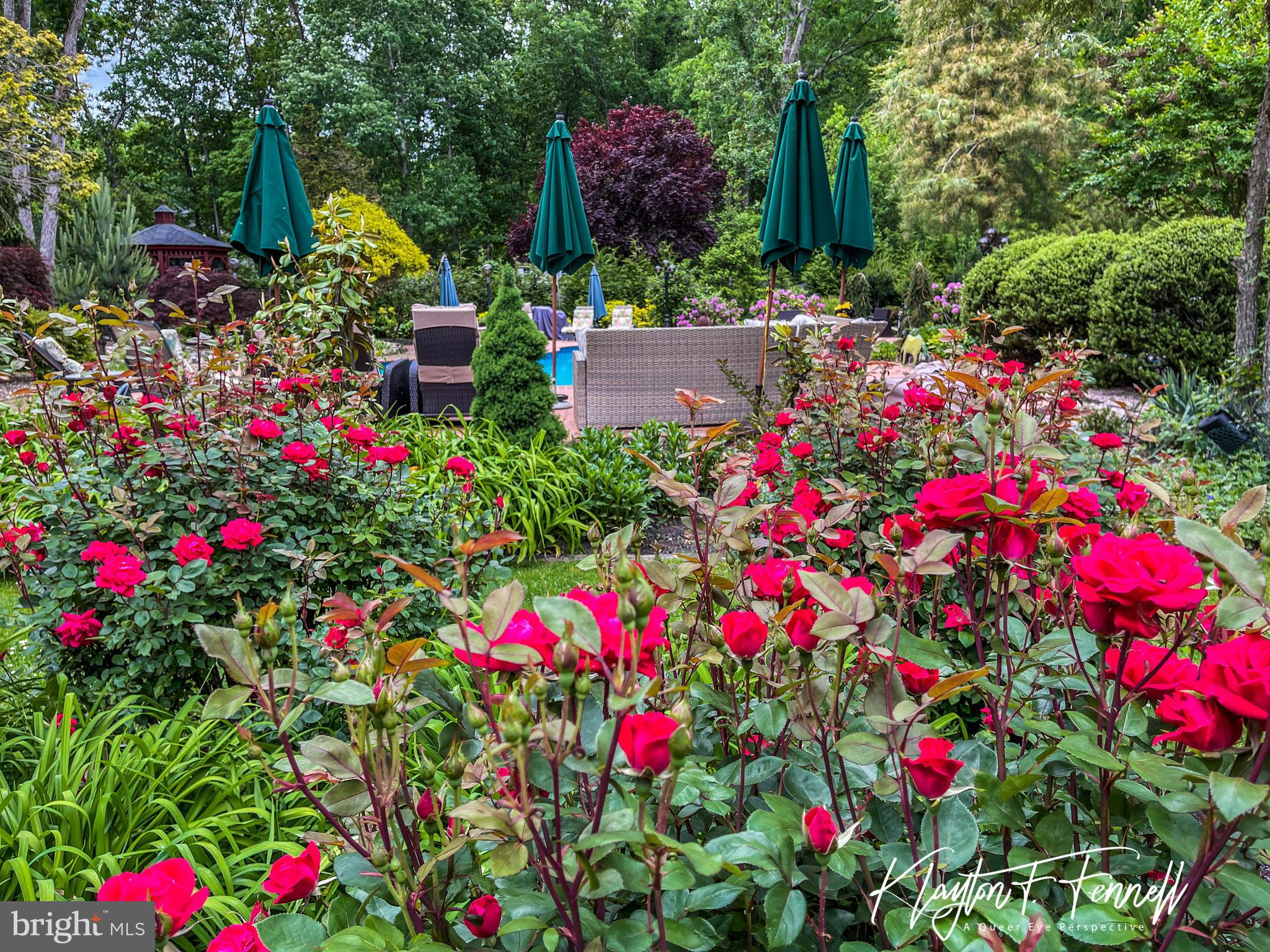 4 Meadowbrook Drive Shamong, NJ 08088 - Photo 52 of 56 Garden Views