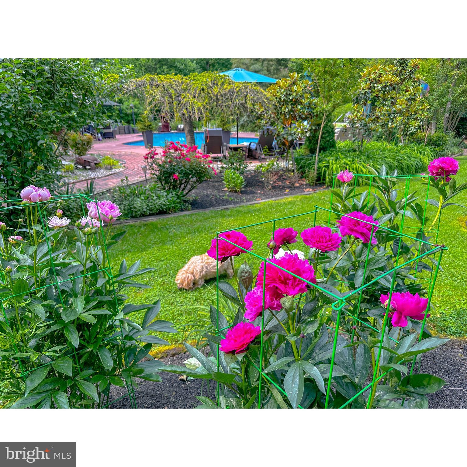 4 Meadowbrook Drive Shamong, NJ 08088 - Photo 53 of 56 Garden Views