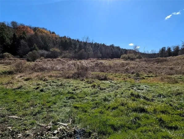 $219,900 | 3829 Ford Brook South Branch, Willing, NY 14895