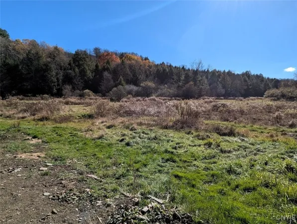 $219,900 | 3829 Ford Brook South Branch, Willing, NY 14895