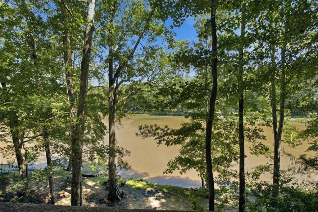 21 River Road Woodland, GA 31836 - Photo 43 of 63