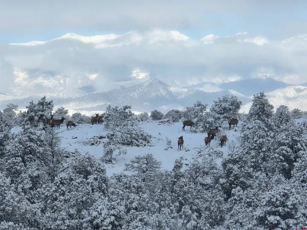 a view of a sky in the background