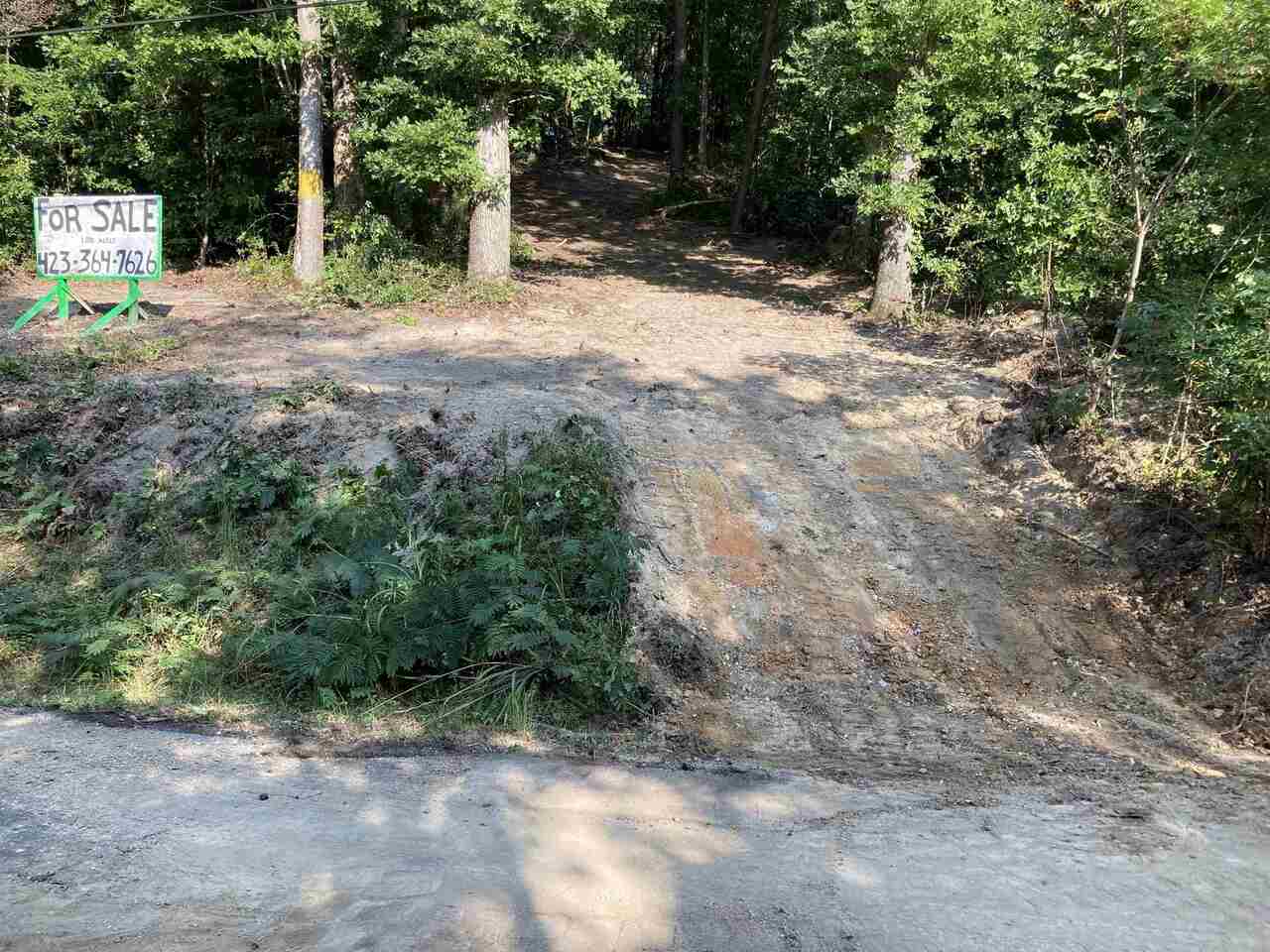 0 Burnt Mill Road, Unit 1 Flintstone, GA 30725 - Photo 1 of 1 Gallery Image 1
