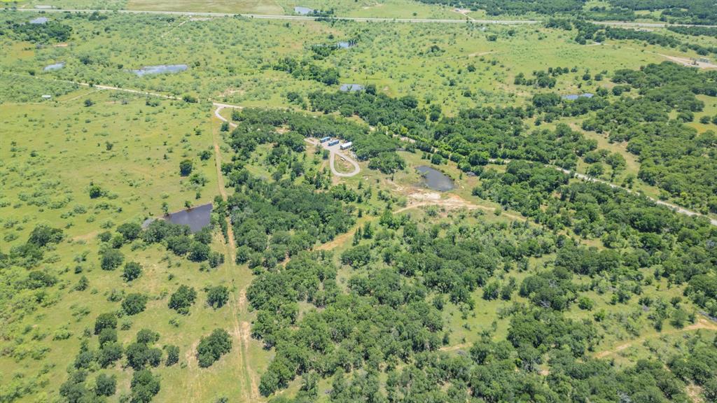 1116 Lowrance Road Jacksboro, TX 76458 - Photo 7 of 10 a view of a big yard with plants and large trees