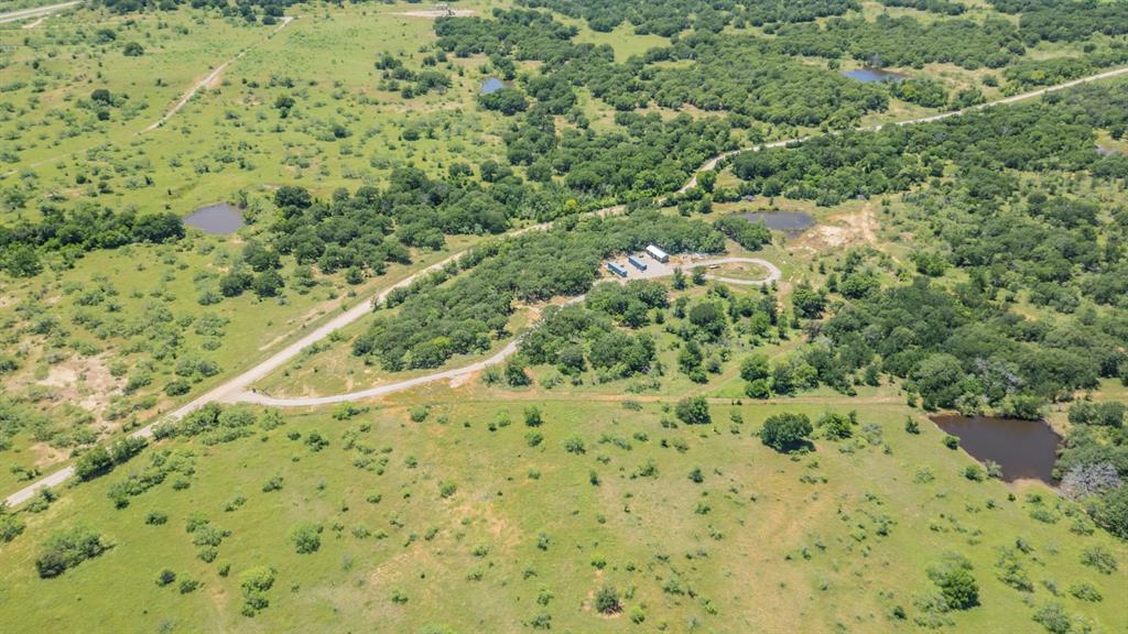 1116 Lowrance Road Jacksboro, TX 76458 - Photo 9 of 10 a view of a yard with a plant