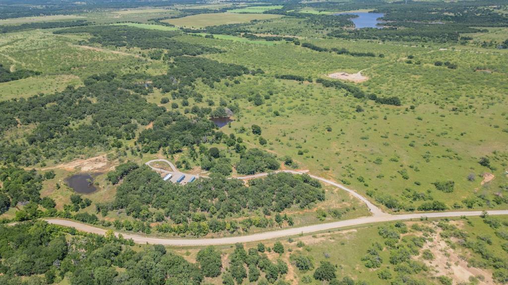 1116 Lowrance Road Jacksboro, TX 76458 - Photo 10 of 10 a view of a forest