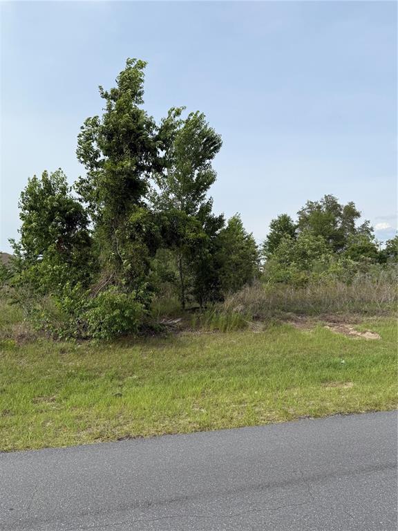 Tbd Southwest 129th Lane Ocala, FL 34473 - Photo 1 of 3