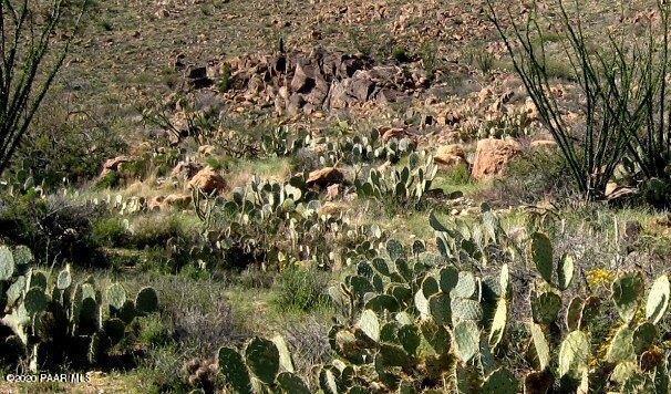 0 South Bent Spur Road Congress, AZ 85332 - Photo 7 of 24 5b