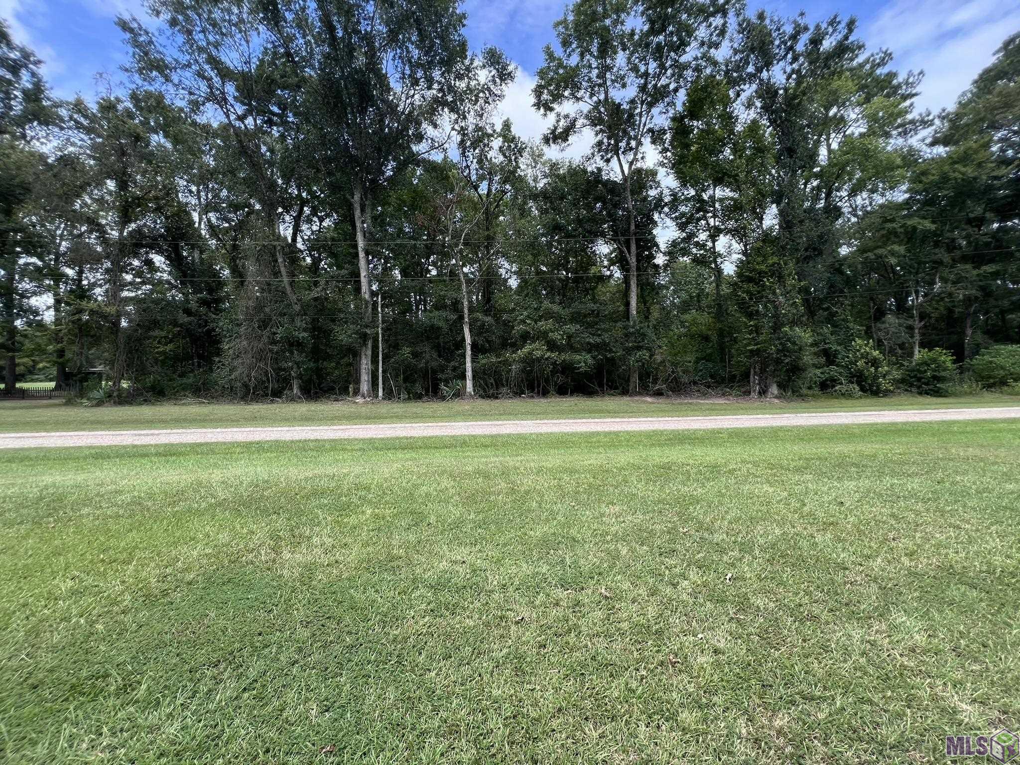 0 Line Drive Denham Springs, LA 70726 - Photo 7 of 19