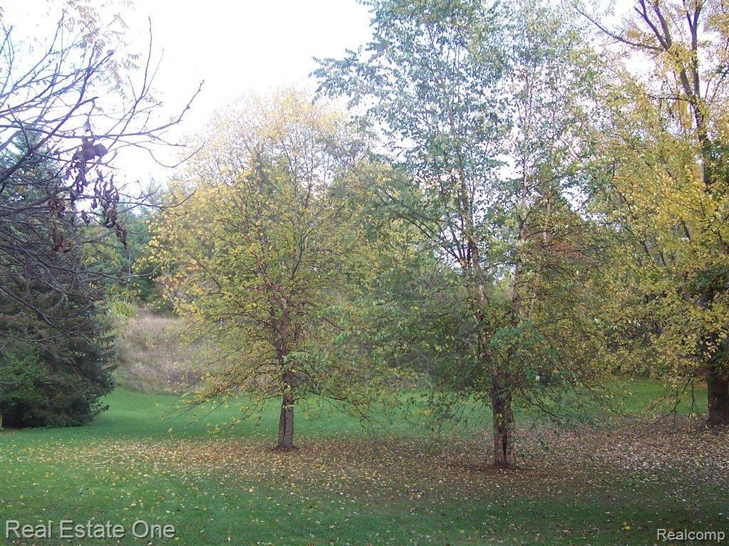 3181 Weygant Drive Rochester, MI 48306 - Photo 36 of 37 Great Yard for a Garden