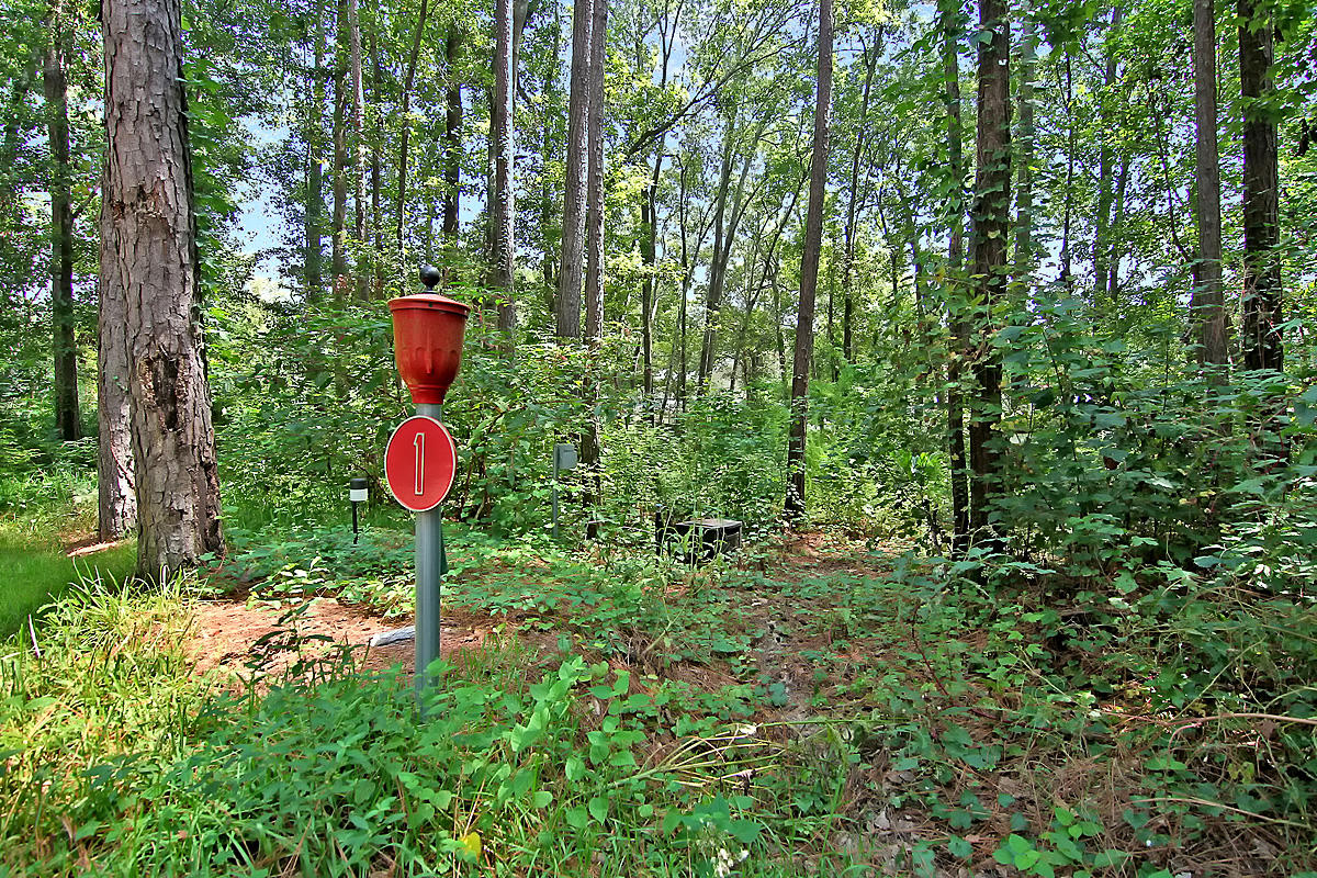 659 Gahagan Road Summerville, SC 29485 - Photo 76 of 100 CREM_659 Gahagan Rd_079