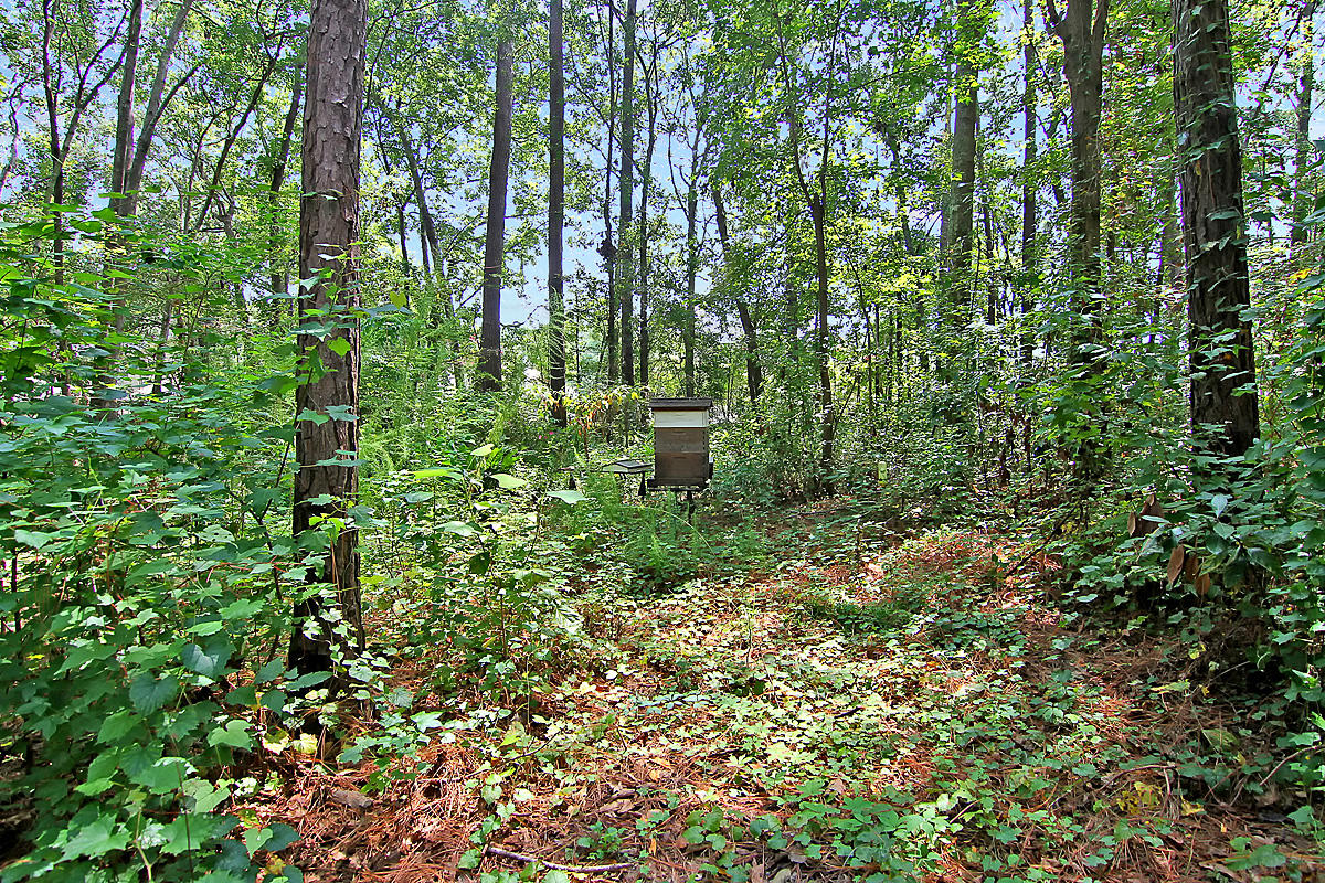 659 Gahagan Road Summerville, SC 29485 - Photo 77 of 100 CREM_659 Gahagan Rd_080