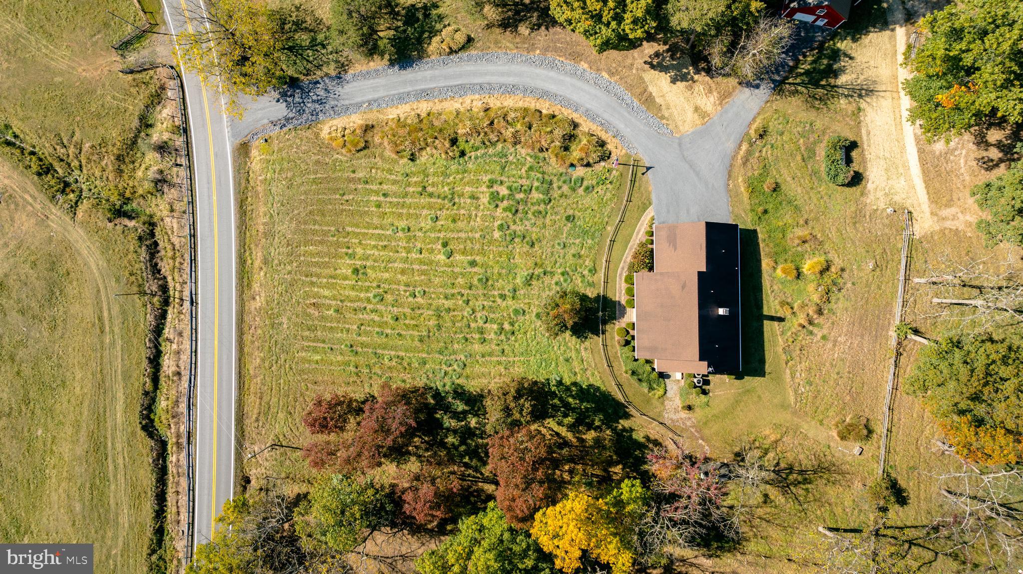 6154 Senedo Road Mount Jackson, VA 22842 - Photo 77 of 82