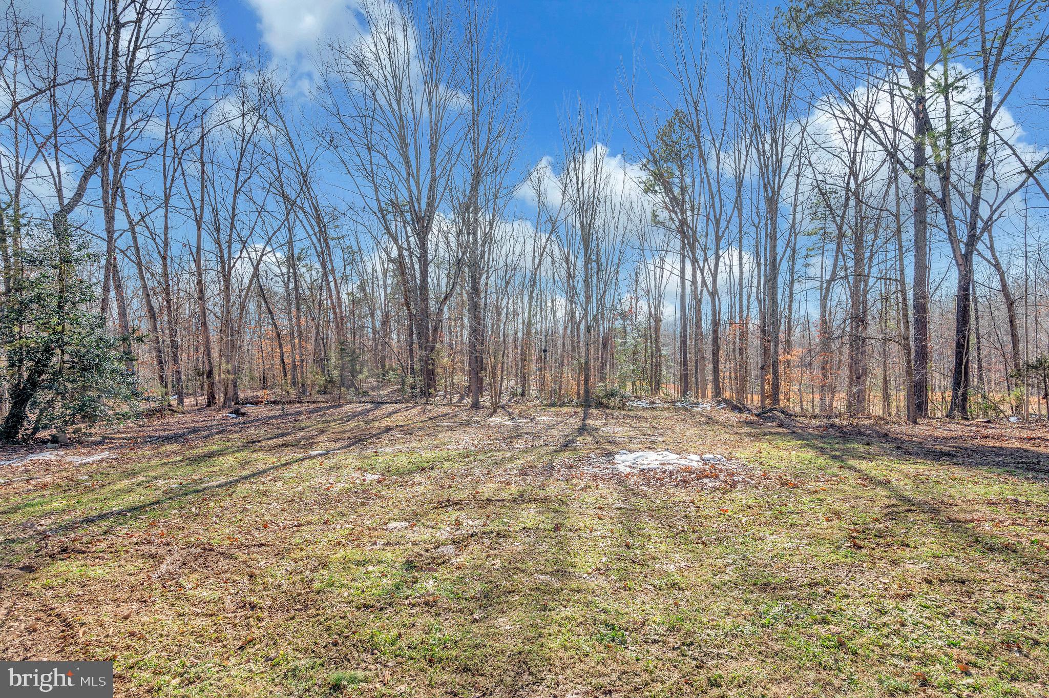 6700 Hickory Ridge Road Spotsylvania, VA 22551 - Photo 24 of 26 Back yard