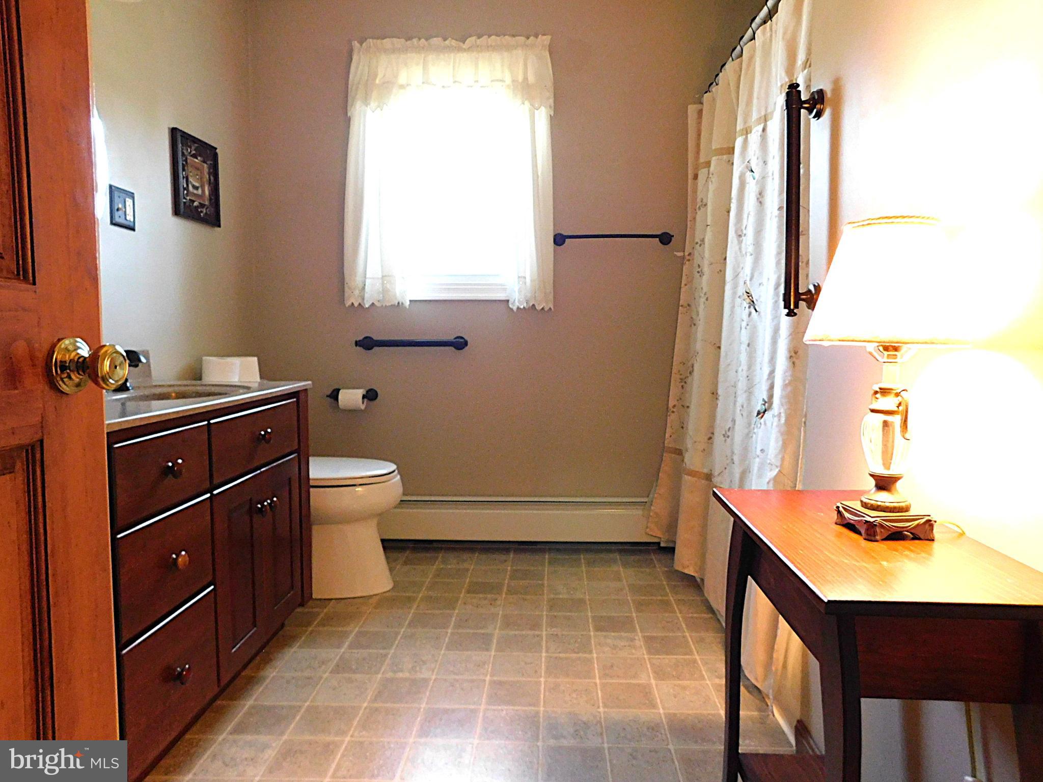 15253 Ressler Lane Blue Ridge Summit, PA 17214 - Photo 10 of 21 a bathroom with a sink a toilet and mirror