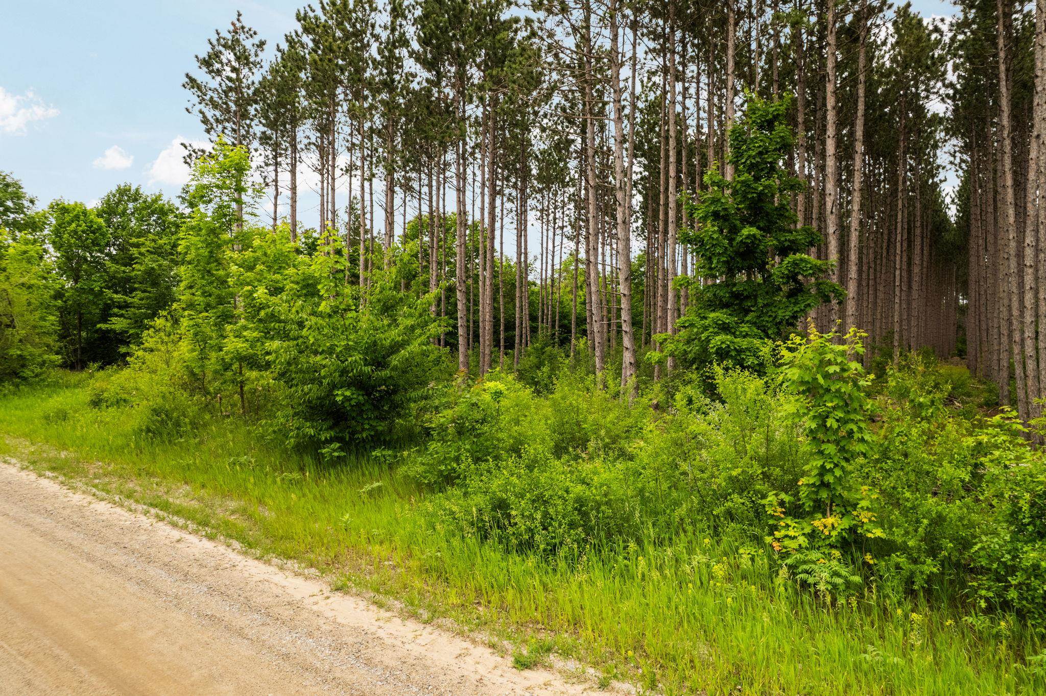 Parcel E St Johns Road Interlochen, MI 49643 - Photo 11 of 39