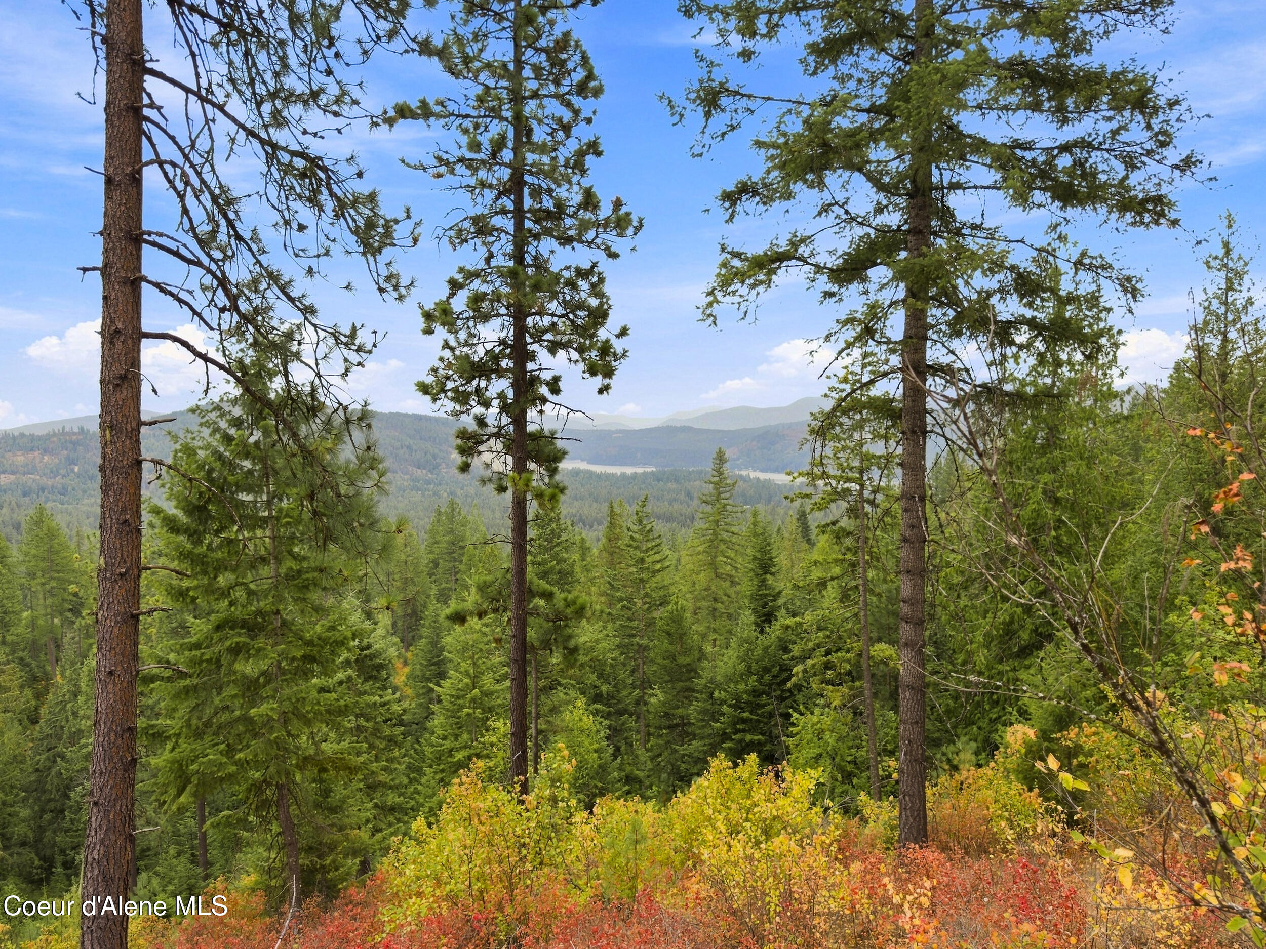 Nka Carr Creek Road Sandpoint, ID 83864 - Photo 10 of 34 29_carrcreek_024