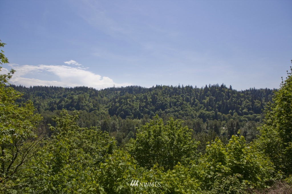 16823 Southeast 149th Street Renton, WA 98059 - Photo 22 of 25 Gallery Image 22