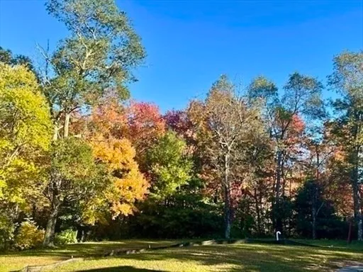a view of a field with trees in the background
