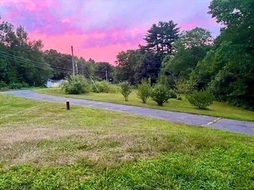 a view of a park with trees in the background