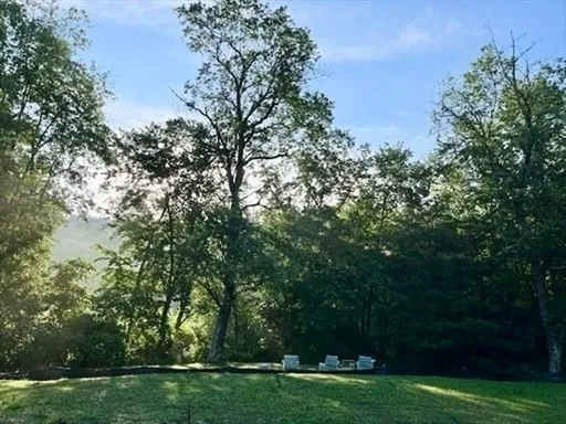 a view of outdoor space and yard