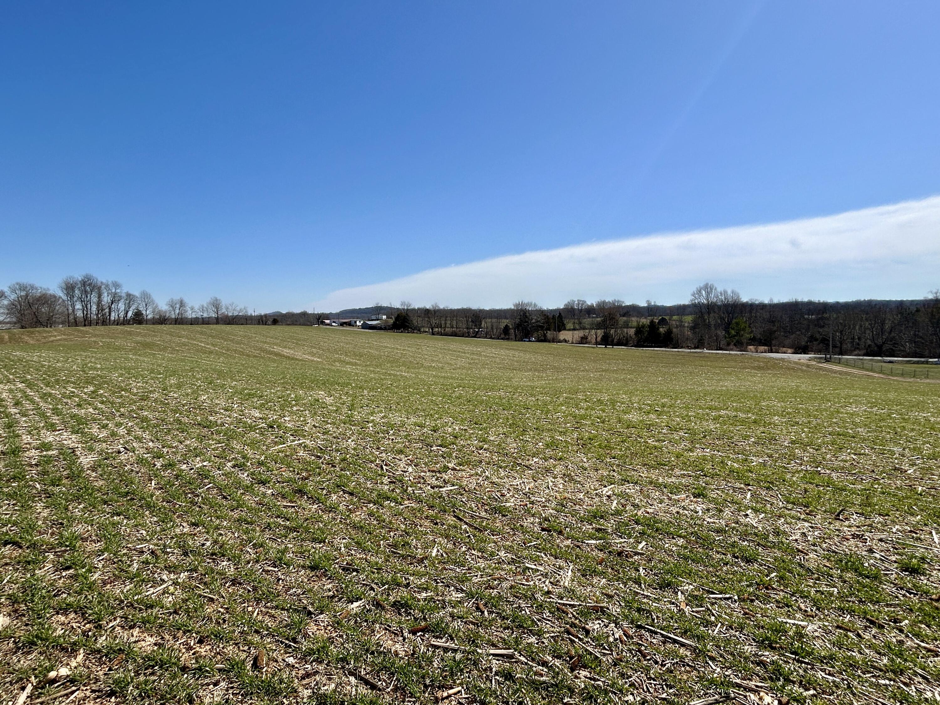 2905 Beech Grove Road Science Hill, KY 42553 - Photo 7 of 26 IMG_6477