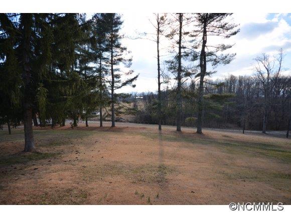 26 Daniel Ridge Road Candler, NC 28715 - Photo 19 of 21 Gallery Image 19