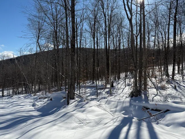 $115,000 | S-1 C Great Roaring Brook Road, Unit S1C, Plymouth, VT 05056