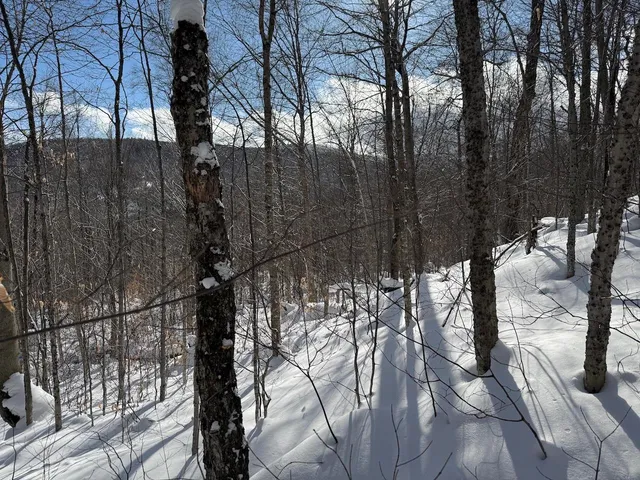 $115,000 | S-1 C Great Roaring Brook Road, Unit S1C, Plymouth, VT 05056